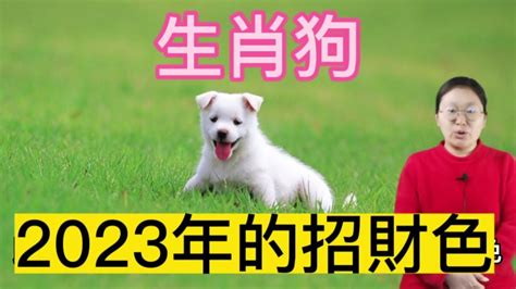 狗 幸運色|【生肖狗幸運顏色】生肖狗必看！2024年幸運色大公。